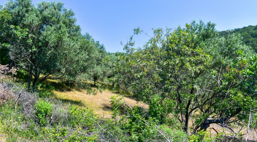 Zeytinhan Emlak Altınoluk Küçükkuyu Satılık Yazlık, Villa, Arsa