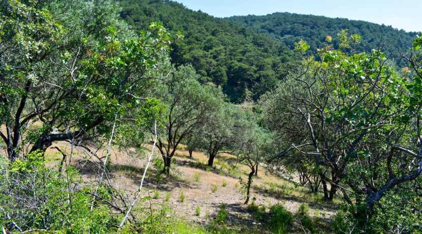 Zeytinhan Emlak Altınoluk Küçükkuyu Satılık Yazlık, Villa, Arsa