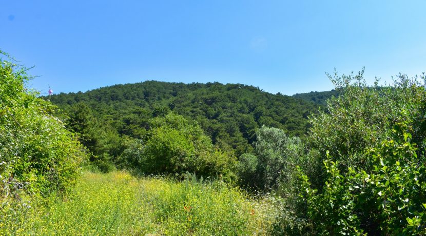 Zeytinhan Emlak Altınoluk Küçükkuyu Satılık Yazlık, Villa, Arsa