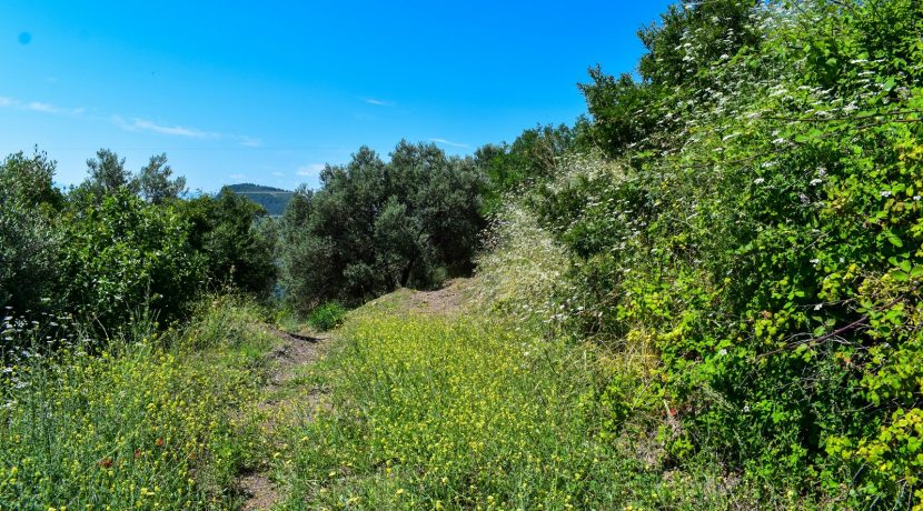 Zeytinhan Emlak Altınoluk Küçükkuyu Satılık Yazlık, Villa, Arsa
