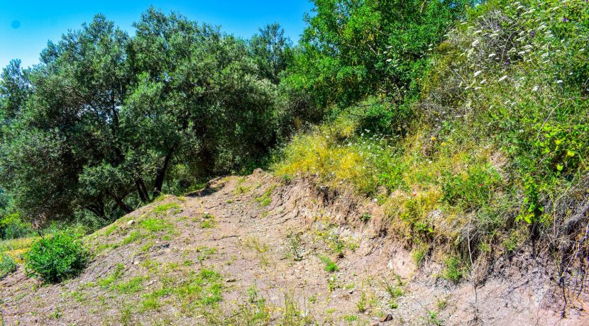 Zeytinhan Emlak Altınoluk Küçükkuyu Satılık Yazlık, Villa, Arsa