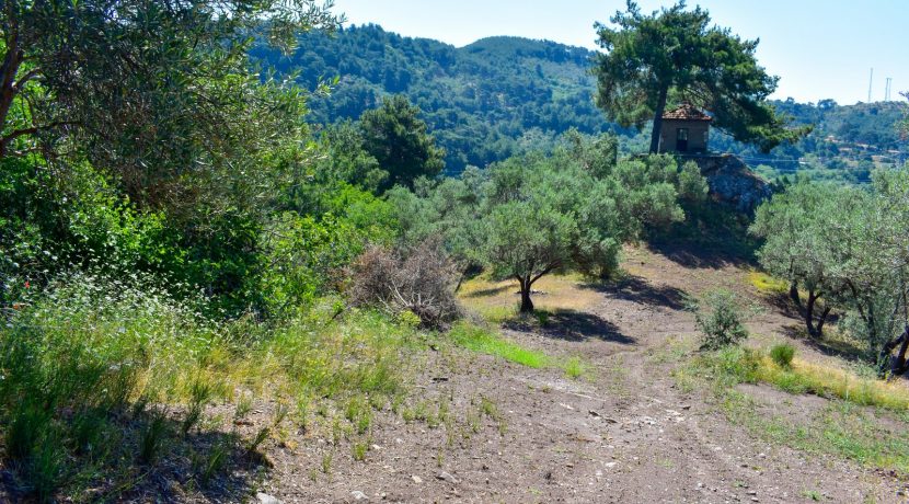 Zeytinhan Emlak Altınoluk Küçükkuyu Satılık Yazlık, Villa, Arsa