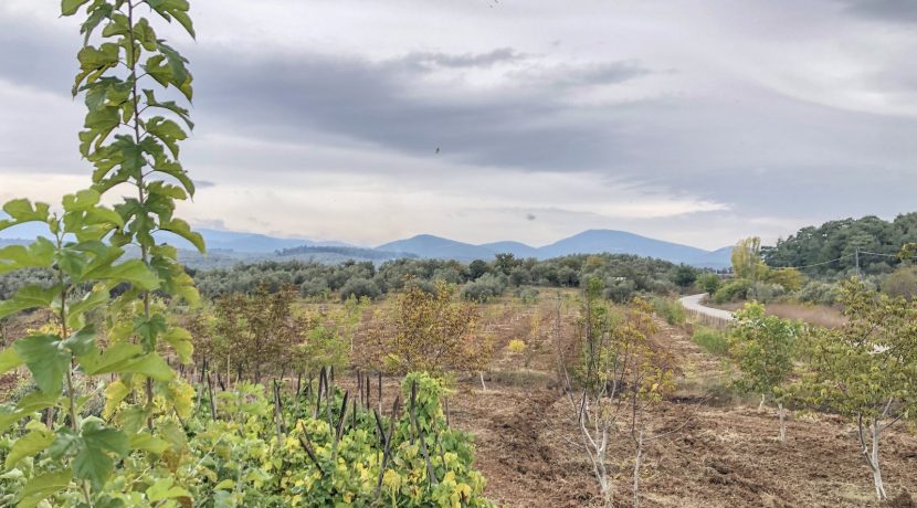 Bayramiç'te Satılık Tam Donanımlı Çiftlik (1)