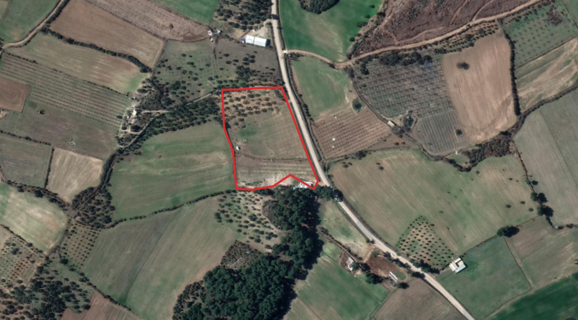 Bayramiç'te Satılık Tam Donanımlı Çiftlik (1)