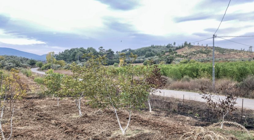 Bayramiç'te Satılık Tam Donanımlı Çiftlik (2)