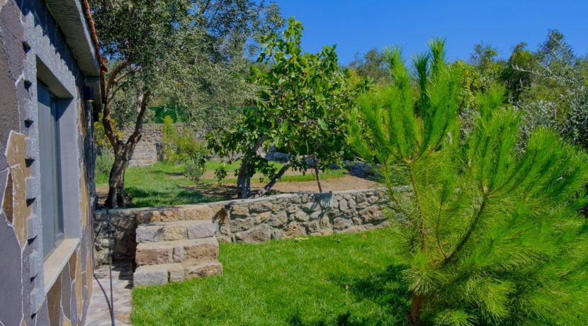 Büyükhusun Sahili'nde Satılık 700 m² Zeytinlik İçinde Resmi Ev