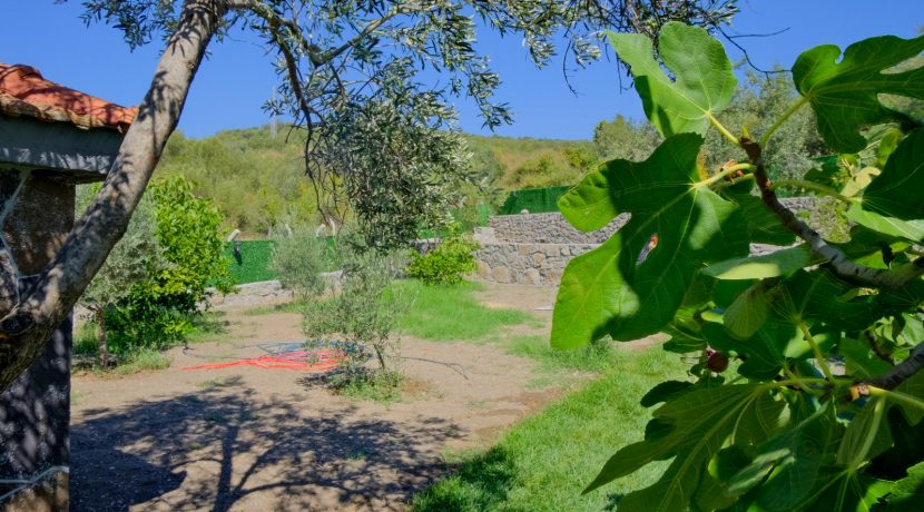 Büyükhusun Sahili'nde Satılık 700 m² Zeytinlik İçinde Resmi Ev (19)