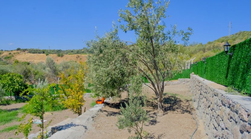 Büyükhusun Sahili'nde Satılık 700 m² Zeytinlik İçinde Resmi Ev (21)