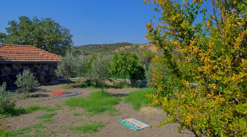 Büyükhusun Sahili'nde Satılık 700 m² Zeytinlik İçinde Resmi Ev (21)