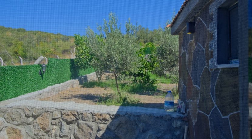 Büyükhusun Sahili'nde Satılık 700 m² Zeytinlik İçinde Resmi Ev