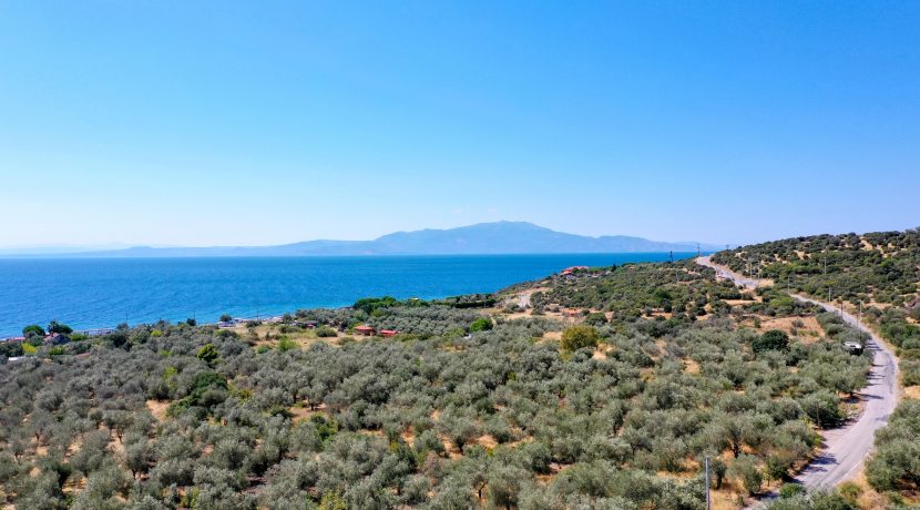 Büyükhusun Sahili'nde Satılık 700 m² Zeytinlik İçinde Resmi Ev (21)