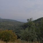 Küçükçetmi Köyü'nde Satılık 1.045 m² Zeytinlik