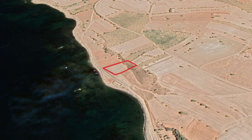 Kösedere'de Satılık Denize Sıfır 155 m² Tarla Hissesi (5)