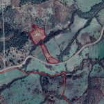 Bayramiç Yanıklar Köyü'nde Satılık 8 Dönüm Tarla