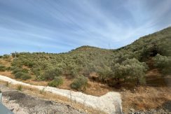 Troya-Assos Tüneli Girişinde Yola Cepheli 15 Dönüm Zeytinlik