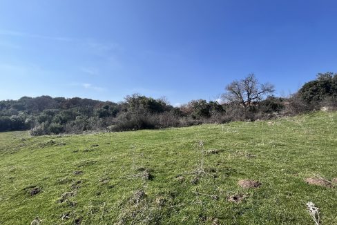 Tartışık Köyü'nde Site yapımına Uygun 4300 m² İmarlı Arazi (13)