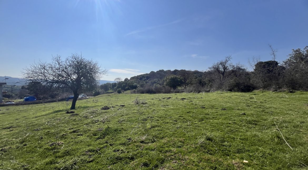 Tartışık Köyü'nde Site yapımına Uygun 4300 m² İmarlı Arazi (22)