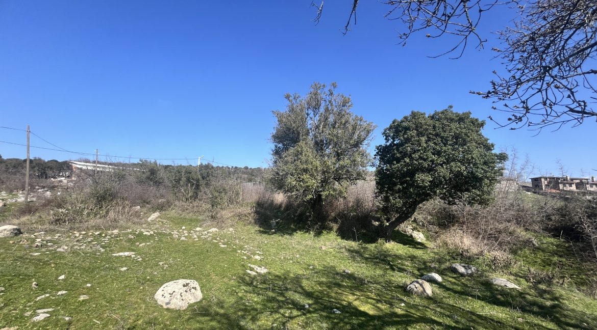 Tartışık Köyü'nde Site yapımına Uygun 4300 m² İmarlı Arazi (6)