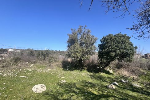 Tartışık Köyü'nde Site yapımına Uygun 4300 m² İmarlı Arazi (6)