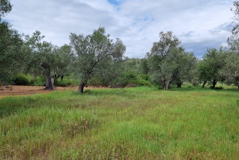 Küçükkuyu'da Satılık 650 M² Arsa