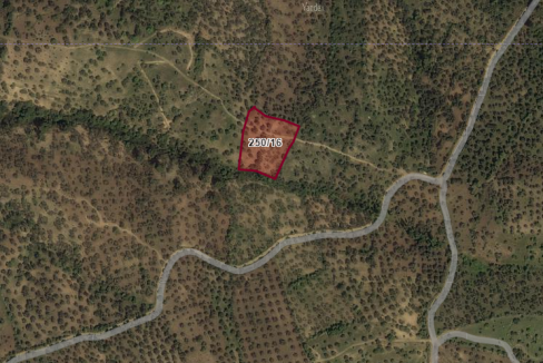 Tavaklı'da Satılık 4.315 m² Zeytinlik (1)