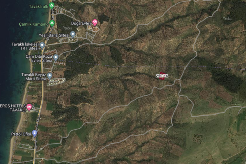 Tavaklı'da Satılık 4.315 m² Zeytinlik (3)