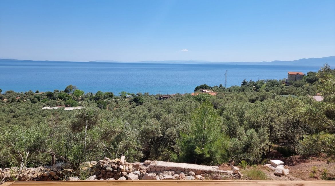 Ahmetçe Sahilinde Satılık Zeytinlik ve Tiny House (28)