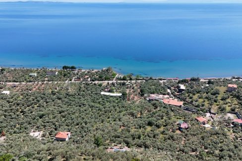Ahmetçe Sahilinde Satılık Zeytinlik ve Tiny House