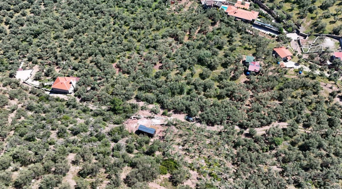 Ahmetçe Sahilinde Satılık Zeytinlik ve Tiny House