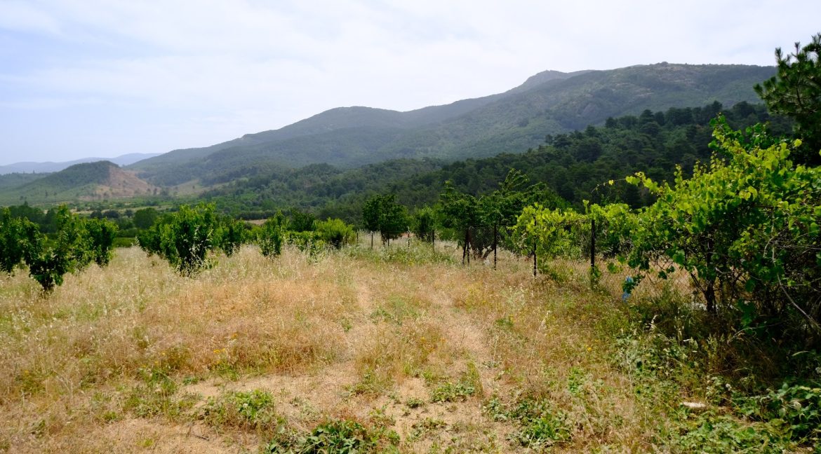 Bayramiç'te Satılık 27.343 m² Çiftlik Evi