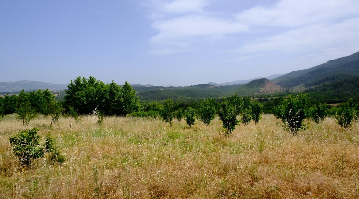 Bayramiç'te Satılık 27.343 m² Çiftlik Evi (11)