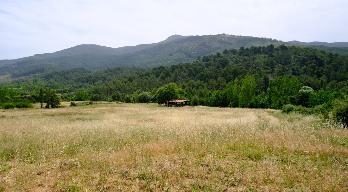 Bayramiç'te Satılık 27.343 m² Çiftlik Evi (14)