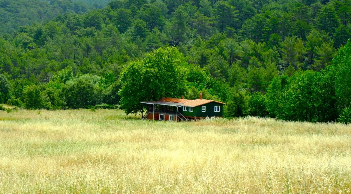 Bayramiç'te Satılık 27.343 m² Çiftlik Evi (15)