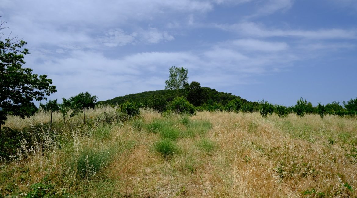 Bayramiç'te Satılık 27.343 m² Çiftlik Evi (16)