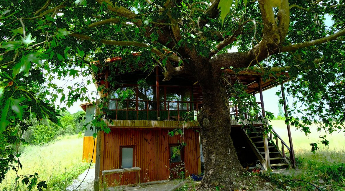 Bayramiç'te Satılık 27.343 m² Çiftlik Evi (20)