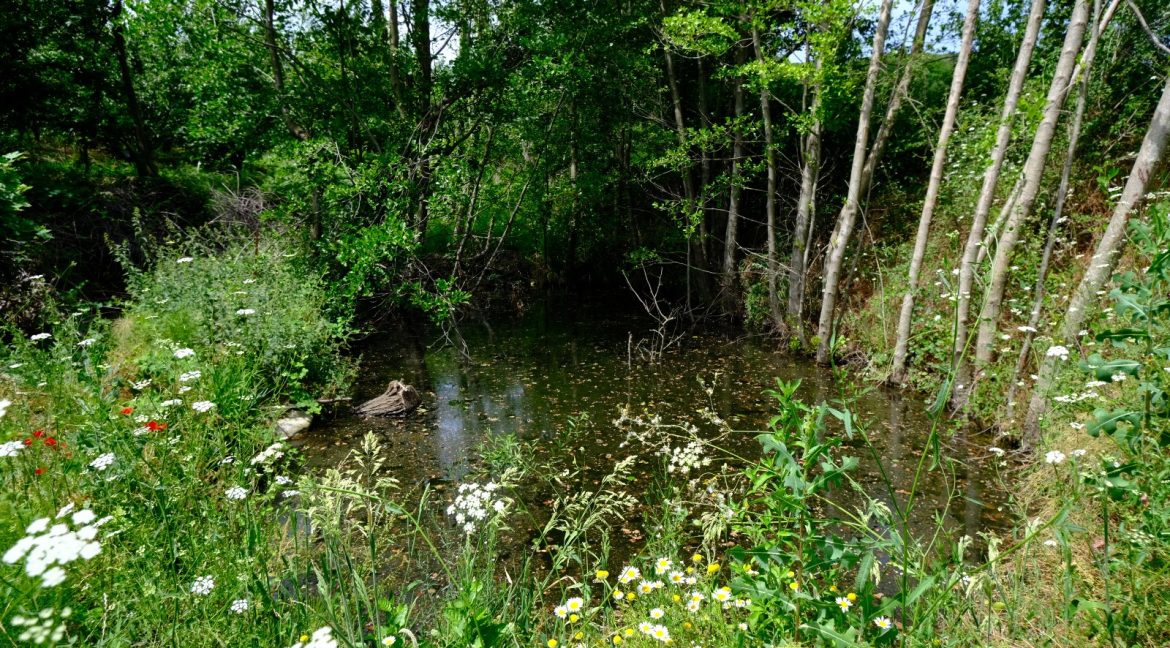 Bayramiç'te Satılık 27.343 m² Çiftlik Evi (23)