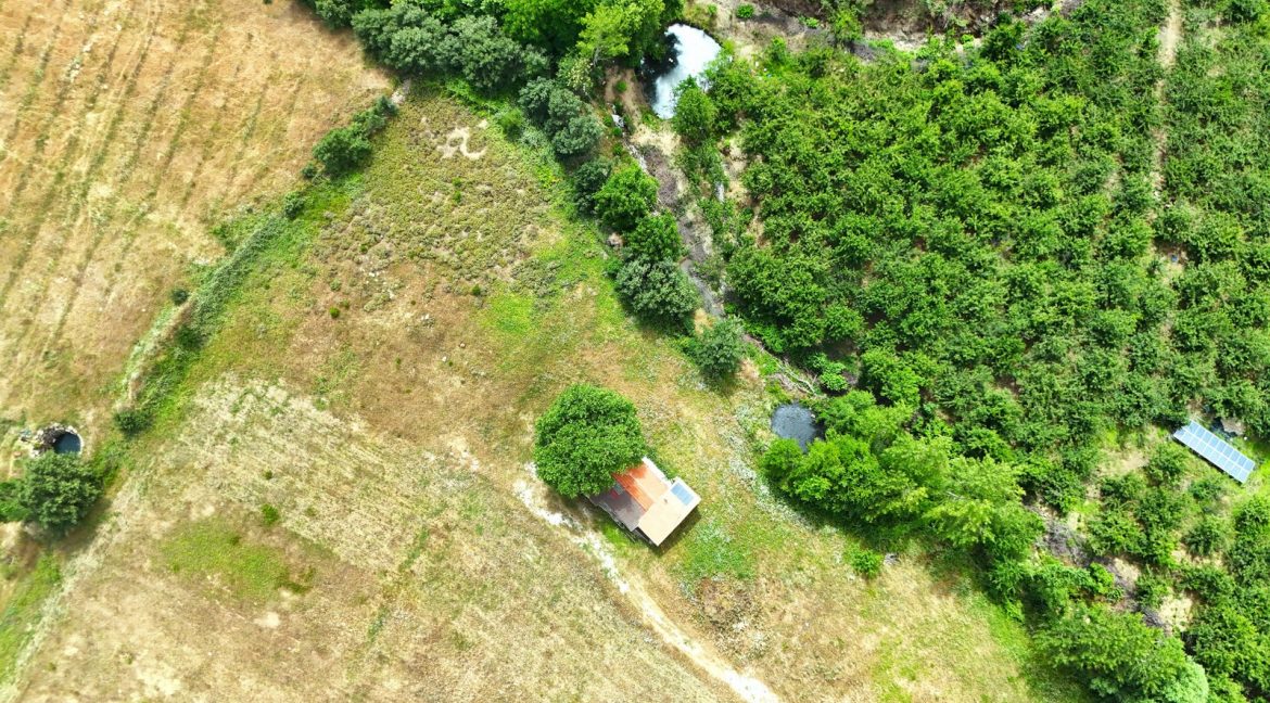 Bayramiç'te Satılık 27.343 m² Çiftlik Evi