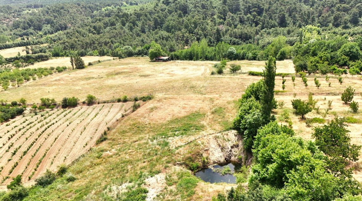 Bayramiç'te Satılık 27.343 m² Çiftlik Evi