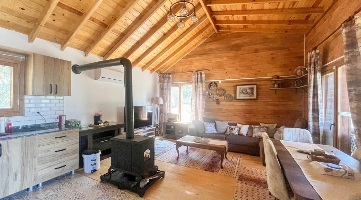 Arıklı Sahili'nde Satılık 2+1 Ahşap Ev ve Zeytinlik (9)