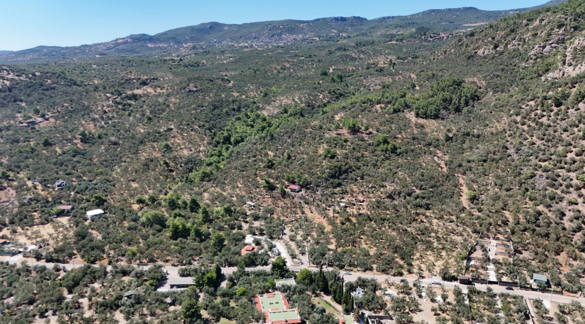 Sazlı Sahilinde Satılık 1873 M² Zeytinlik