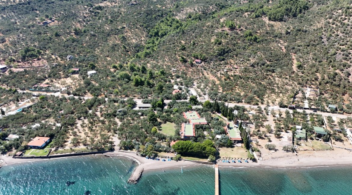 Sazlı Sahilinde Satılık 1873 M² Zeytinlik