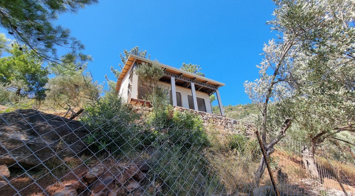 Sazlı Sahilinde Satılık 1873 M² Zeytinlik (17)