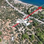 Sazlı Sahilinde Satılık 1873 M² Zeytinlik