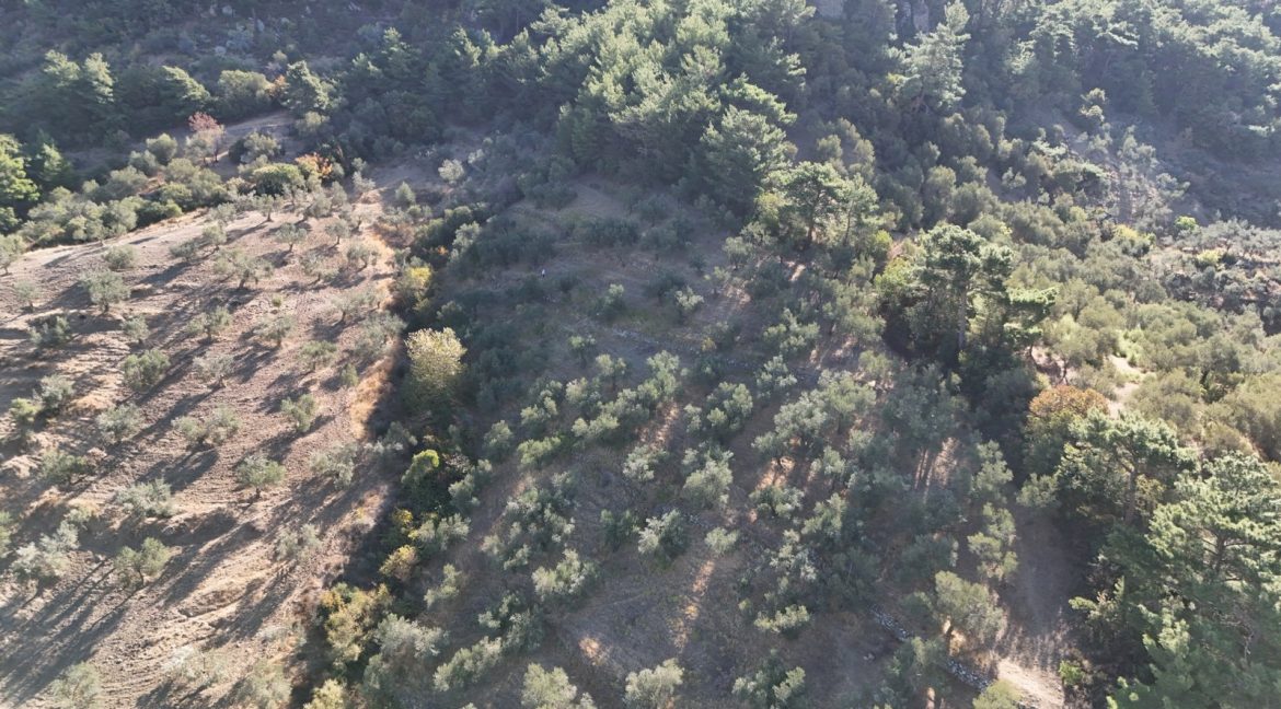 Adatepe Köyü'nde Satılık 10700 m² Zeytinlik