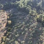 Adatepe Köyü'nde Satılık 10700 m² Zeytinlik