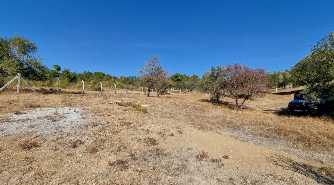 Arıklı Köyü'nde Satılık Muhteşem Manzaralı Zeytinlik (10)