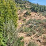 Nusratlı Köyü'nde Satılık 35.528 m² Zeytinlik