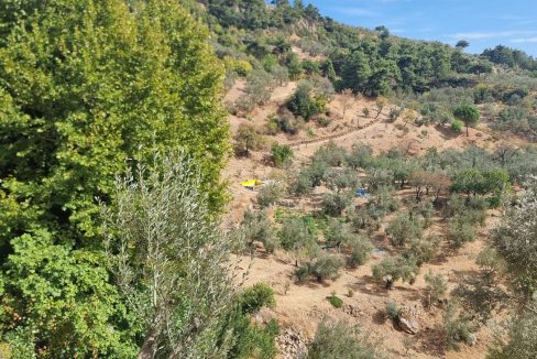 Nusratlı Köyü'nde Satılık 35.528 m² Zeytinlik