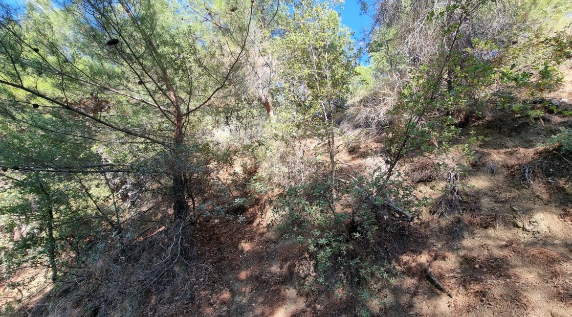 Yeşilyurt Köyü'nde Satılık Muhteşem Manzaralı Zeytinlik (12)_1600x901