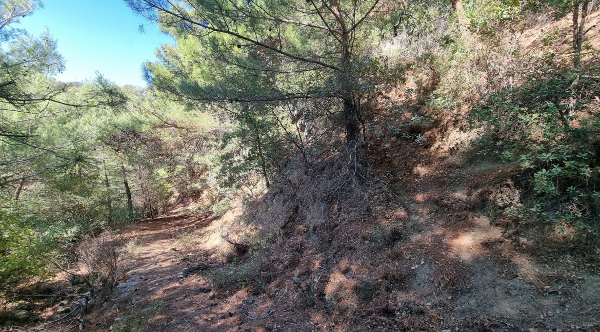 Yeşilyurt Köyü'nde Satılık Muhteşem Manzaralı Zeytinlik (16)_1600x901